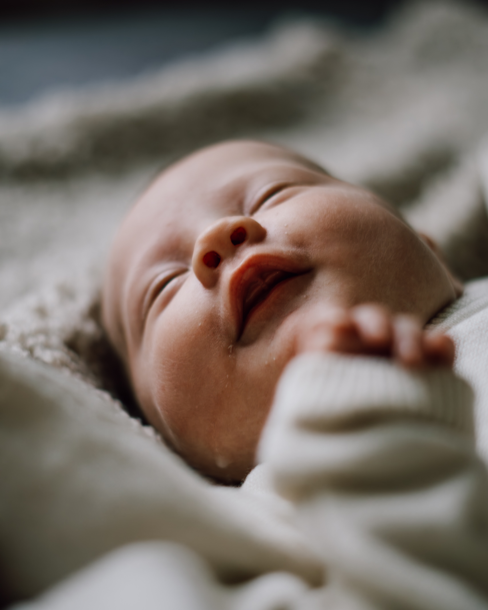 New Life Photography 8